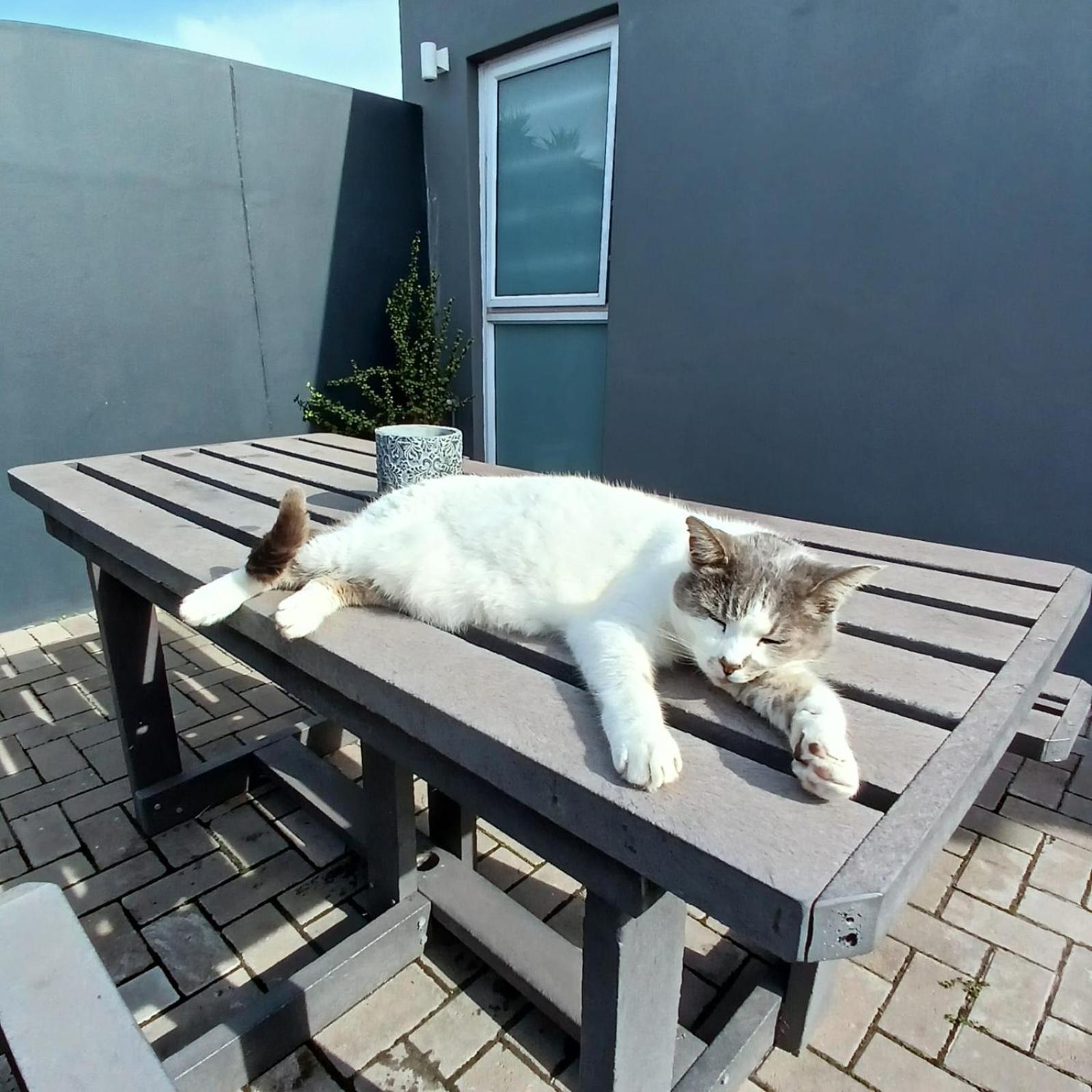 Wanderlust Private Studio Apartment Langebaan Bagian luar foto